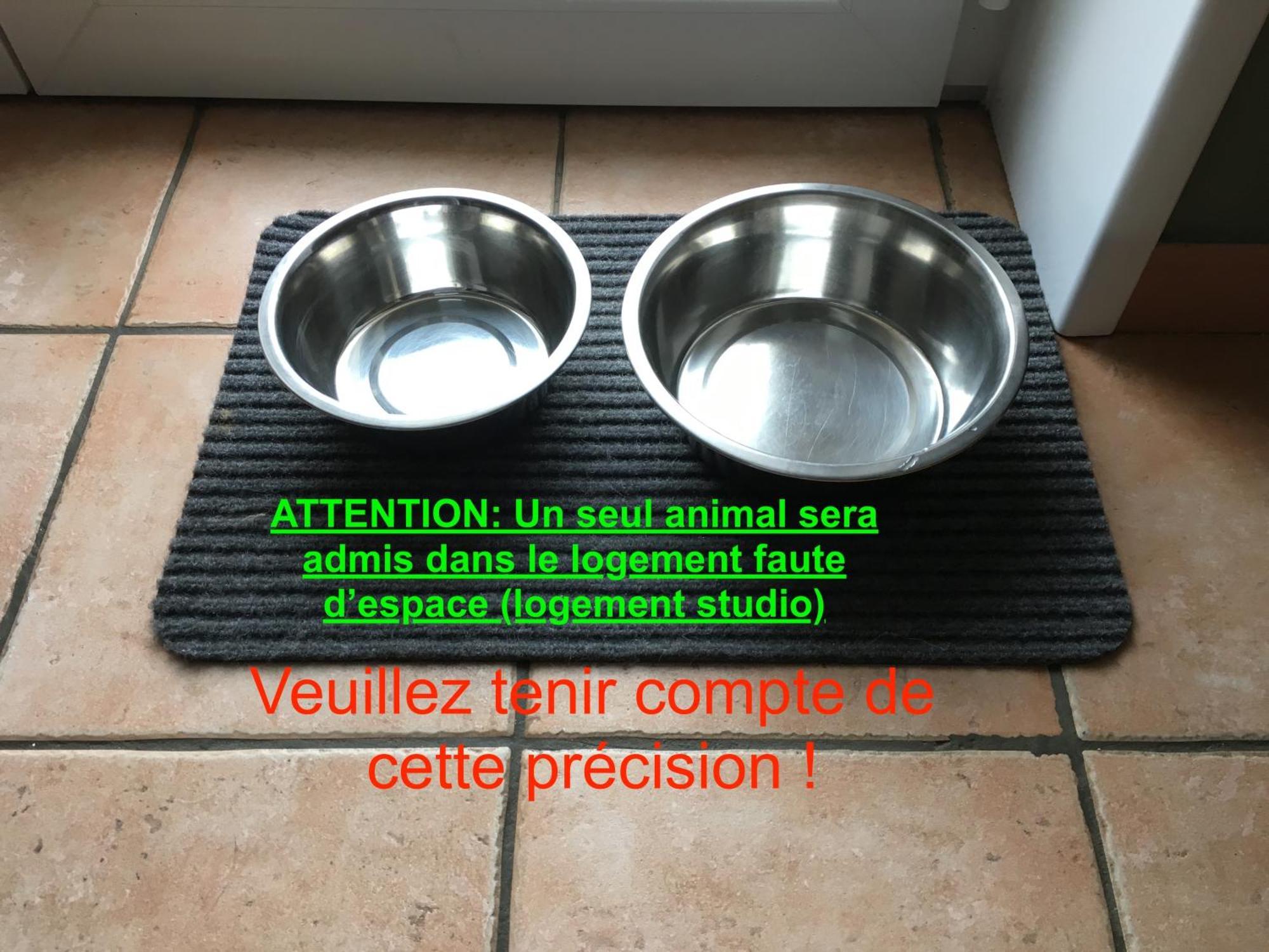 Studio "Cote Mer" La Naturelle - Wimereux Zewnętrze zdjęcie
